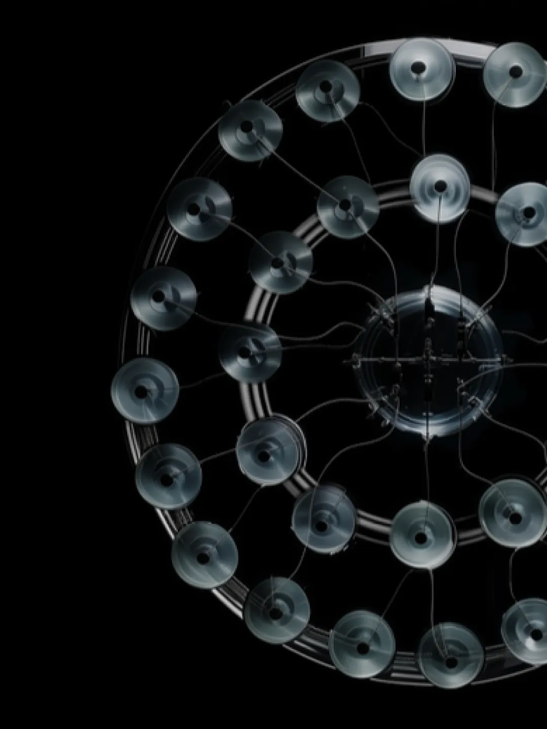 Олеся Ващенко